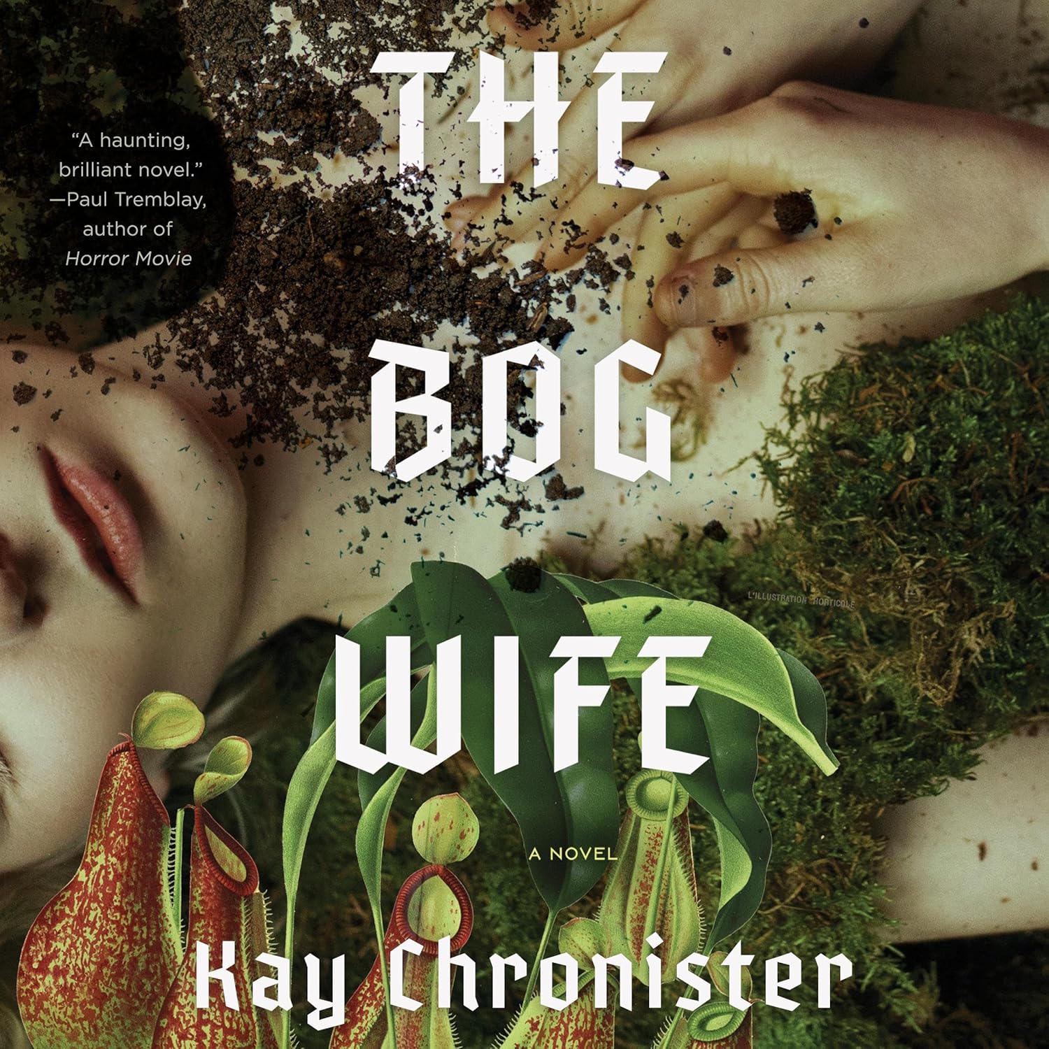 The Bog Wife Is the Kind of Weird Bookstore Pick That Earns Its Space