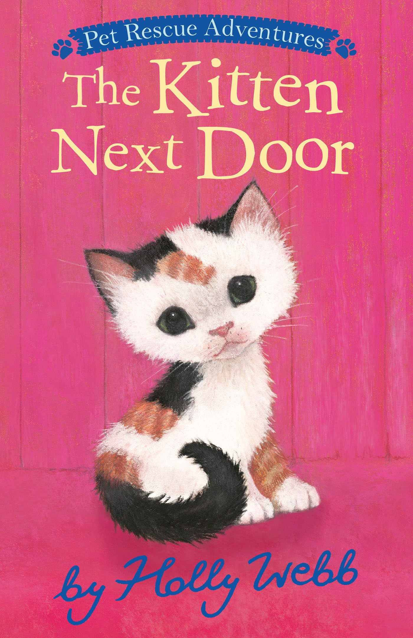 The Kitten Next Door (Pet Rescue Adventures)